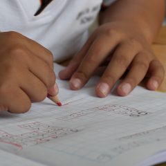 ریاضی کی مشقوں کے لیے صحیح وقت کونسا ہے. سائنسدانوں کا نیا انکشاف